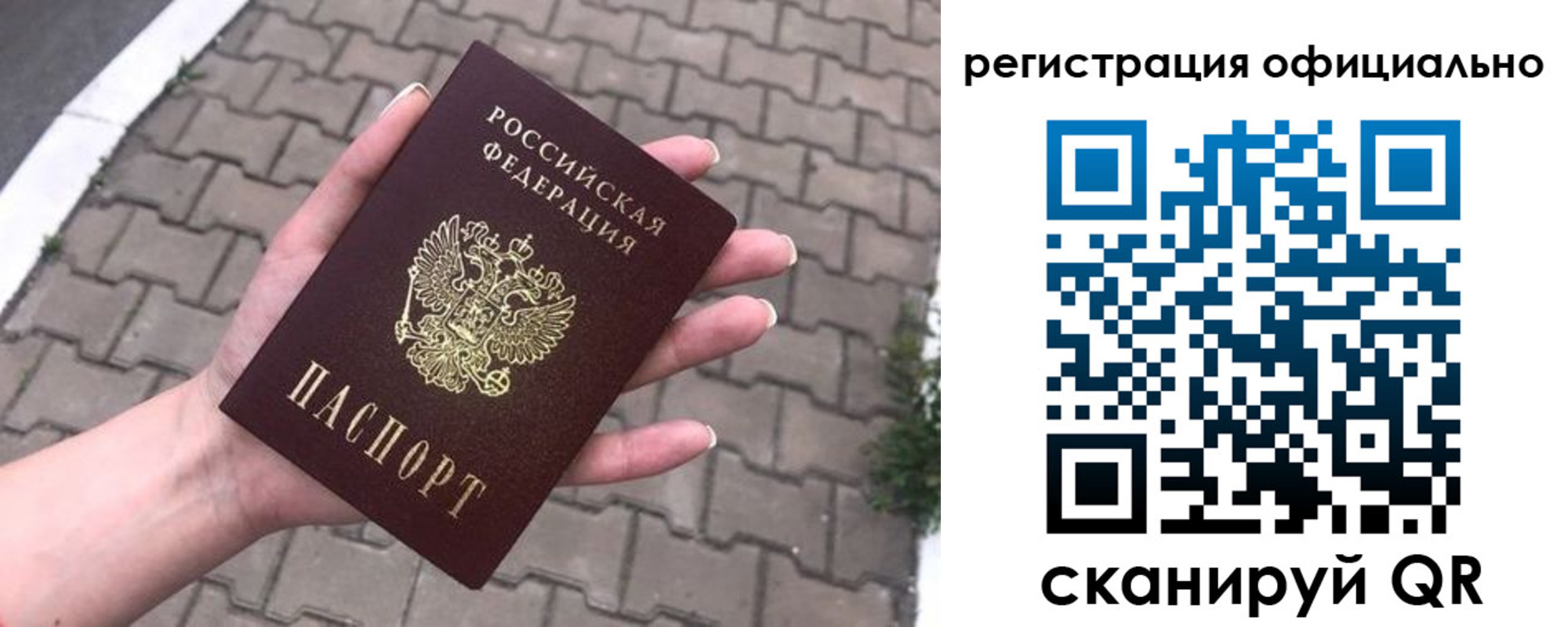 прописка 2025 в Щёкино
